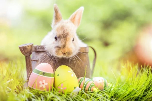 Easter Fun!