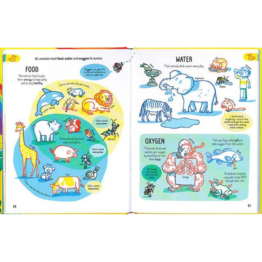 Usborne All The Science You Need To Know By Age 7