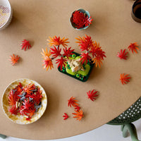 LEGO Botanicals Japanese Red Maple Bonsai Tree