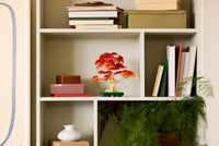 LEGO Botanicals Japanese Red Maple Bonsai Tree