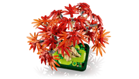 LEGO Botanicals Japanese Red Maple Bonsai Tree