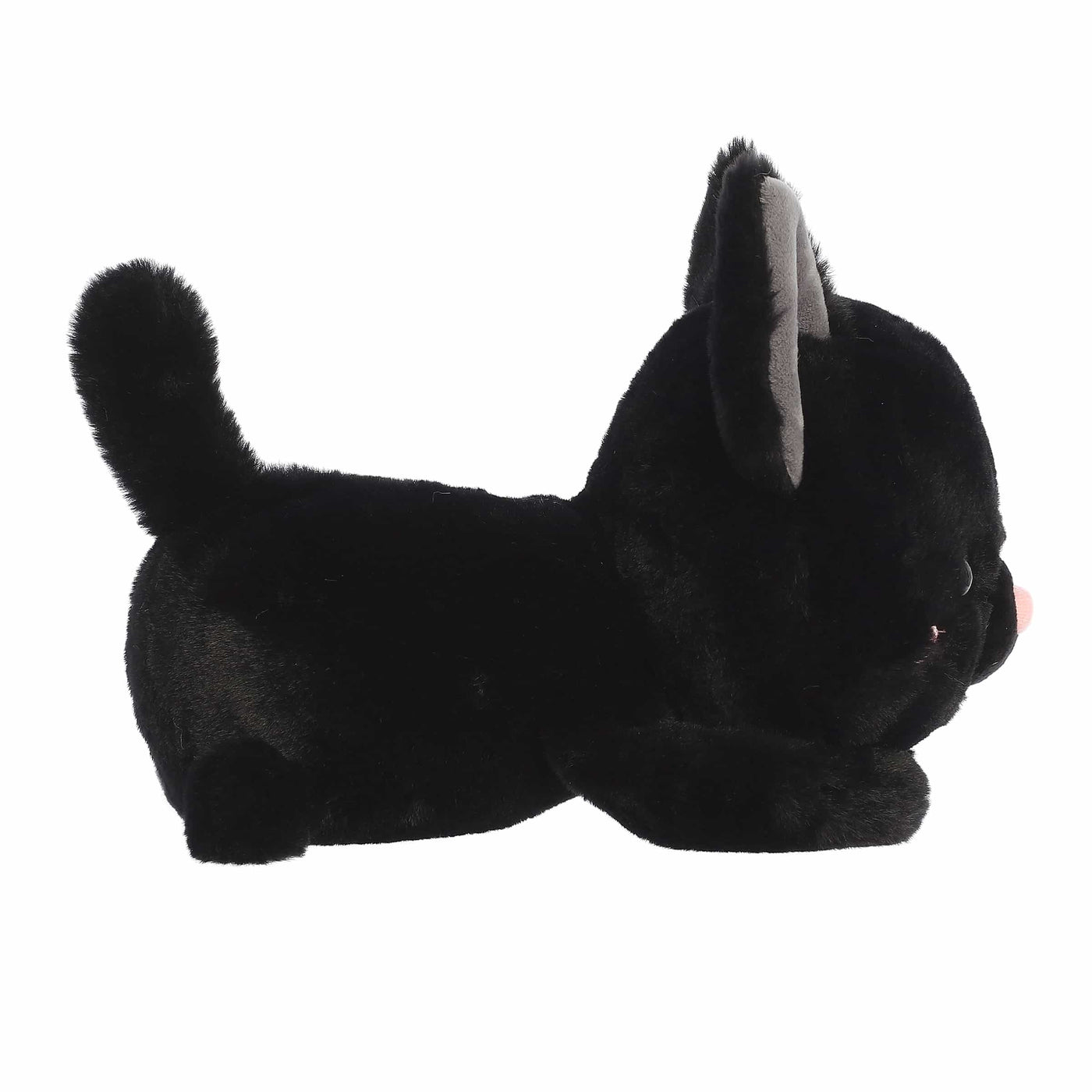 Aurora Too Cute Bella Black Cat