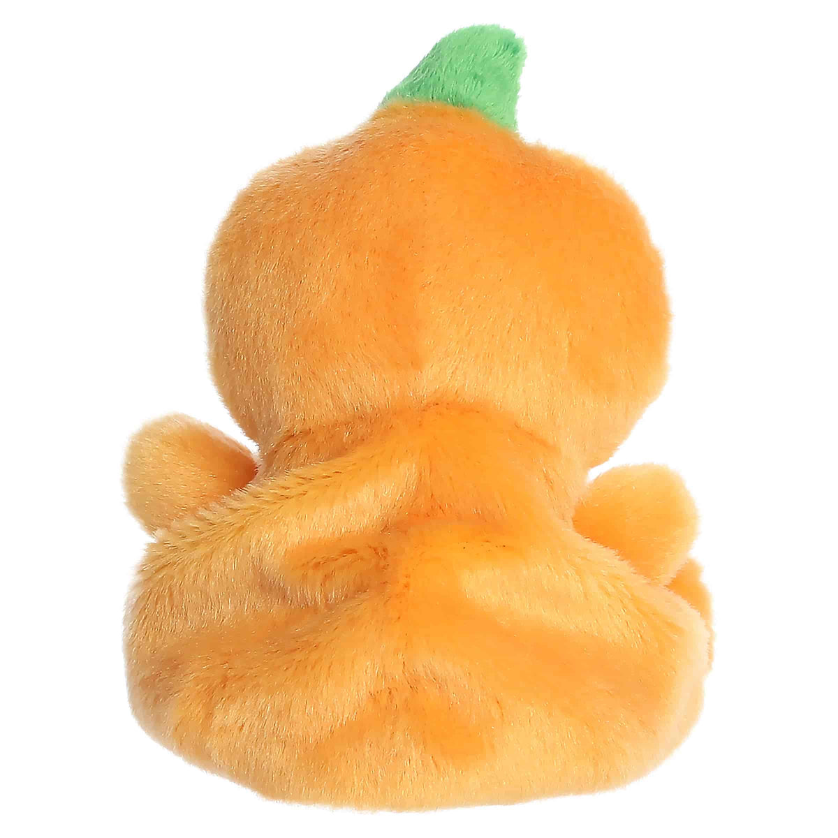Aurora Squashley Pumpkin Head