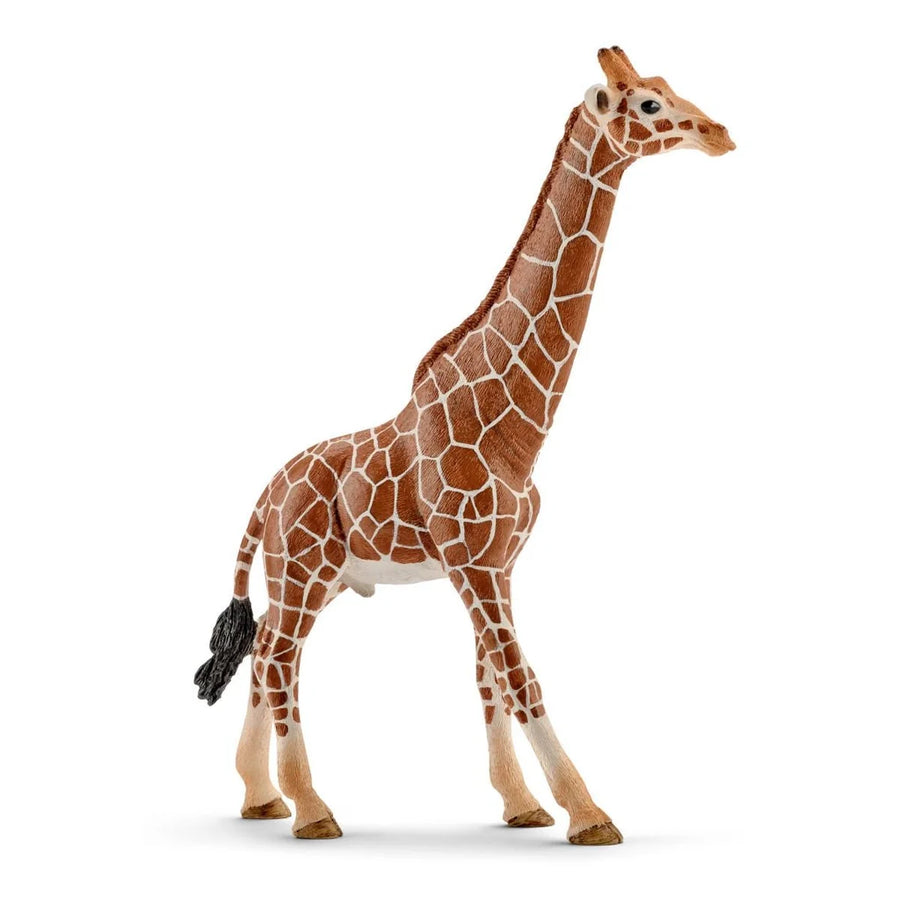 Giraffe Male - Schleich Wild Life 14749