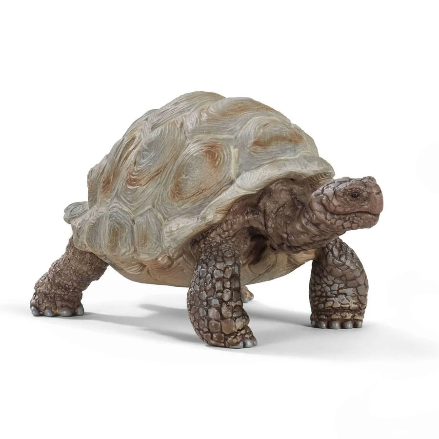 Giant Tortoise - Schleich Wild Life 14824