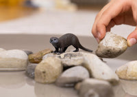 Schleich Wildlife Otter