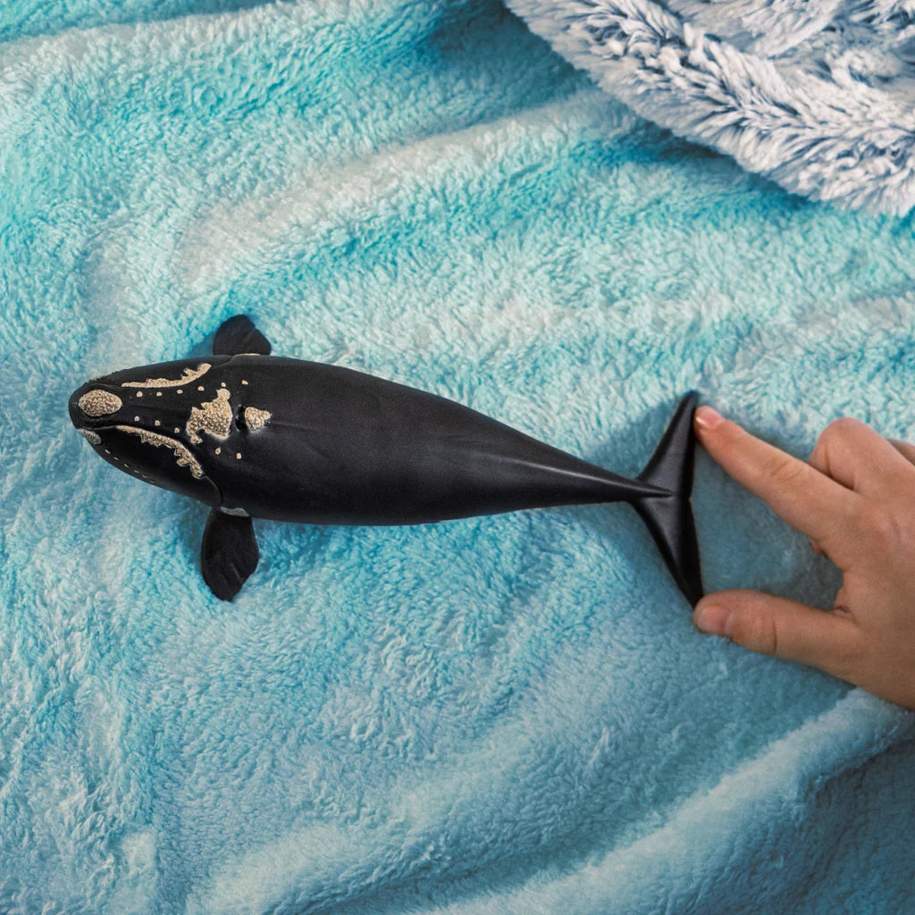 North Atlantic Right Whale - Schleich Wild Life 14878
