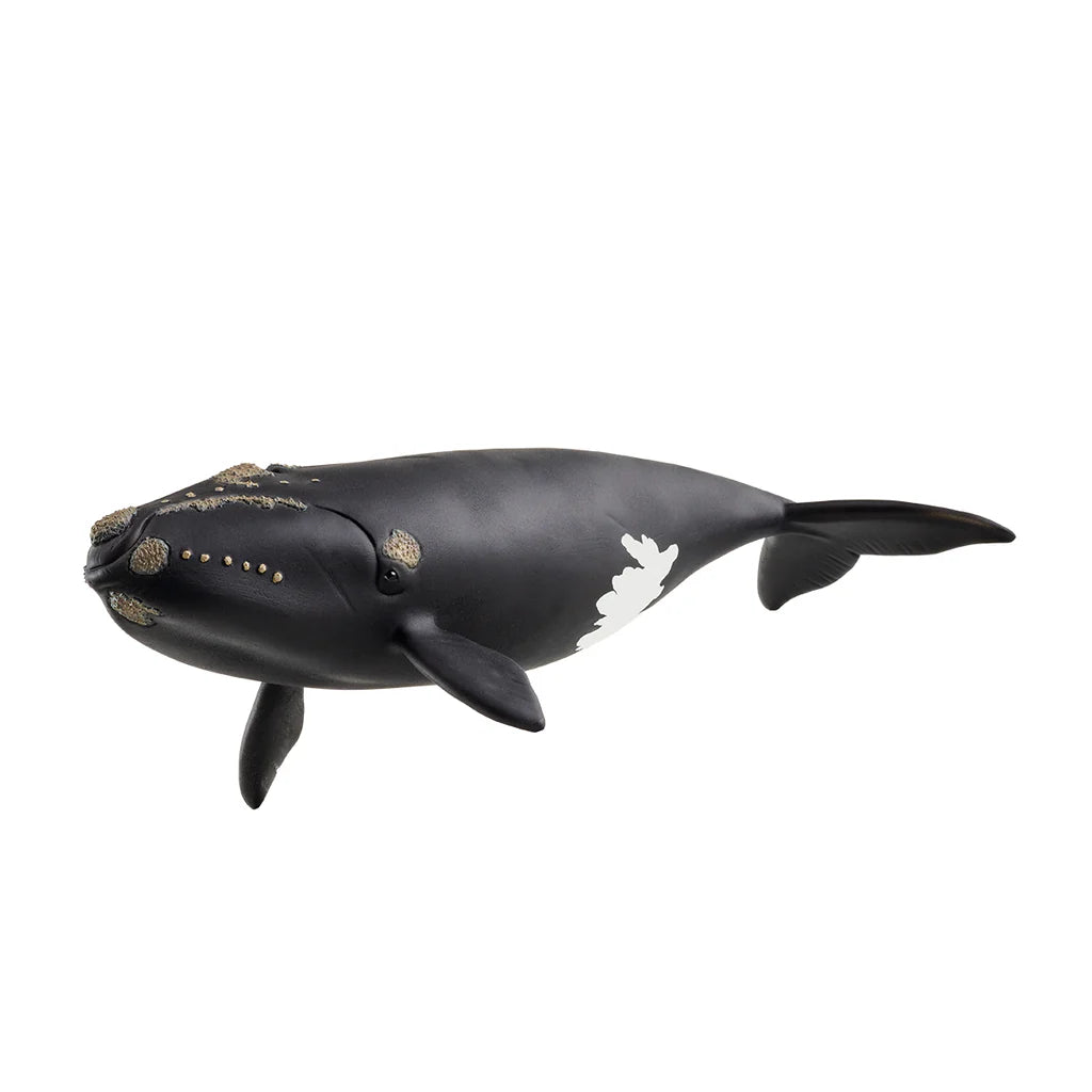Schleich Wild Life North Atlantic Right Whale