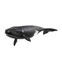 Schleich Wild Life North Atlantic Right Whale