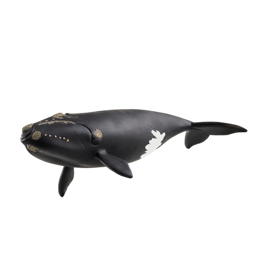 Schleich Wild Life North Atlantic Right Whale