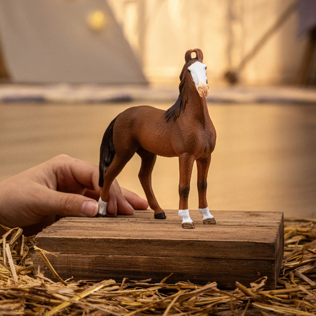 Marwari Mare - Schleich Horse Club 14897