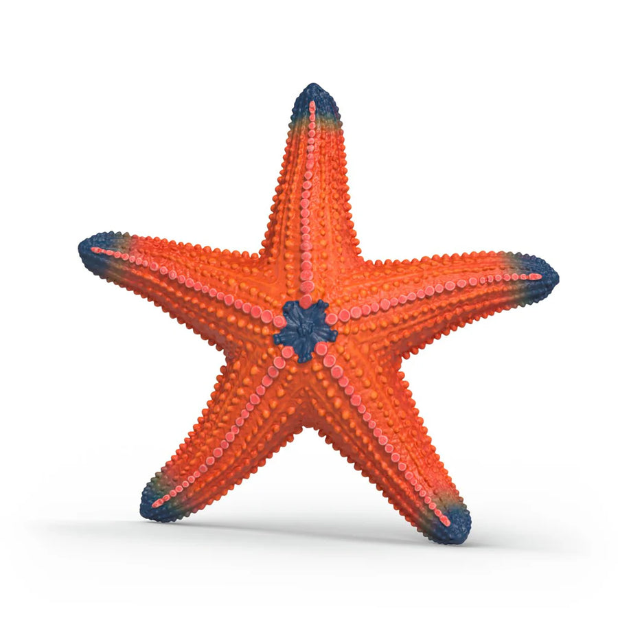 Schleich Wildlife Starfish ( Colour Change)