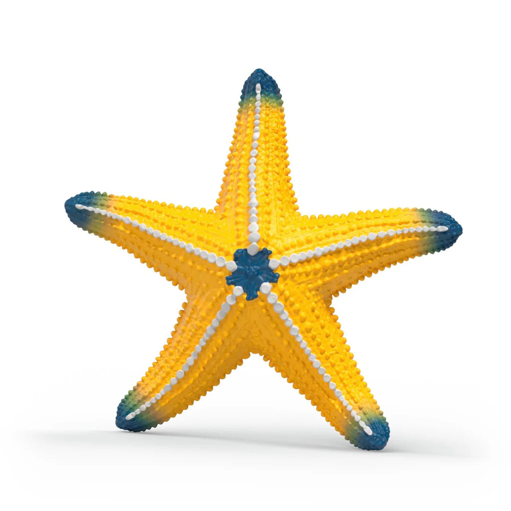 Schleich Wildlife Starfish ( Colour Change)