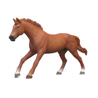 Schelich Horse Club English Thoroughbred Stallion