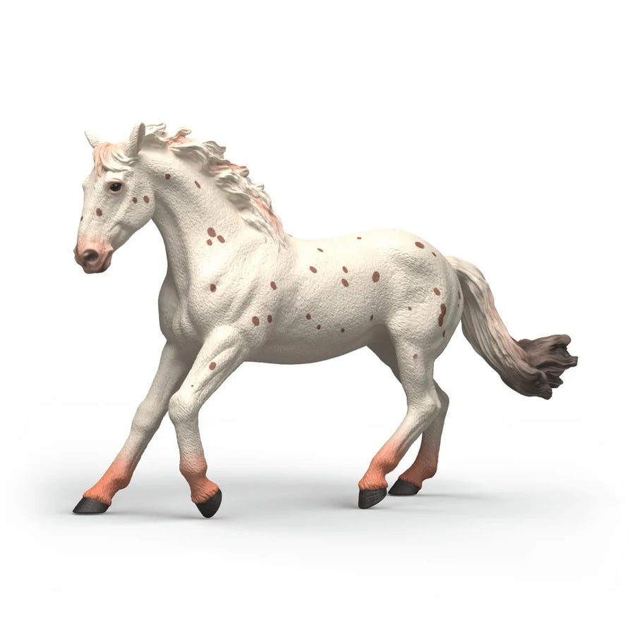 Schleich Horse Club Knabstrupper Mare 2026