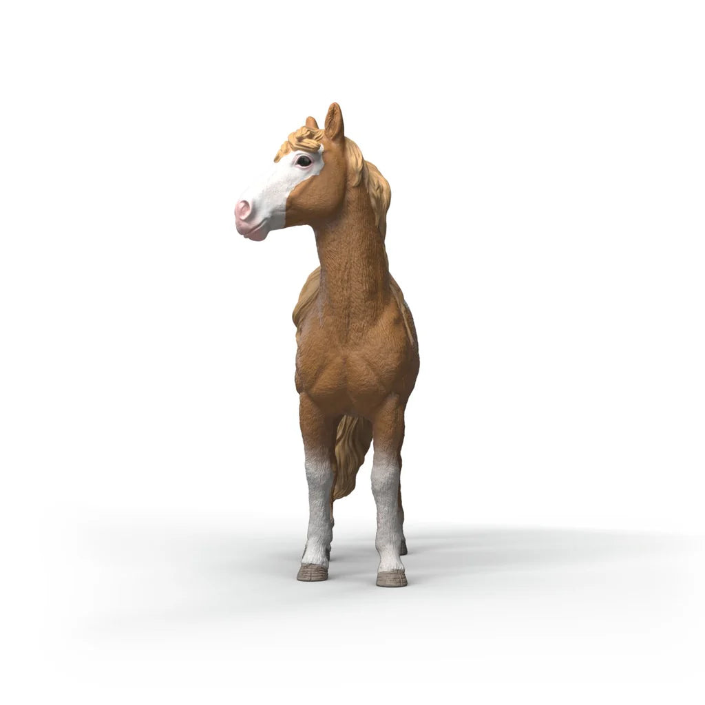 Schleich Horse Club Mustang Mare 14920