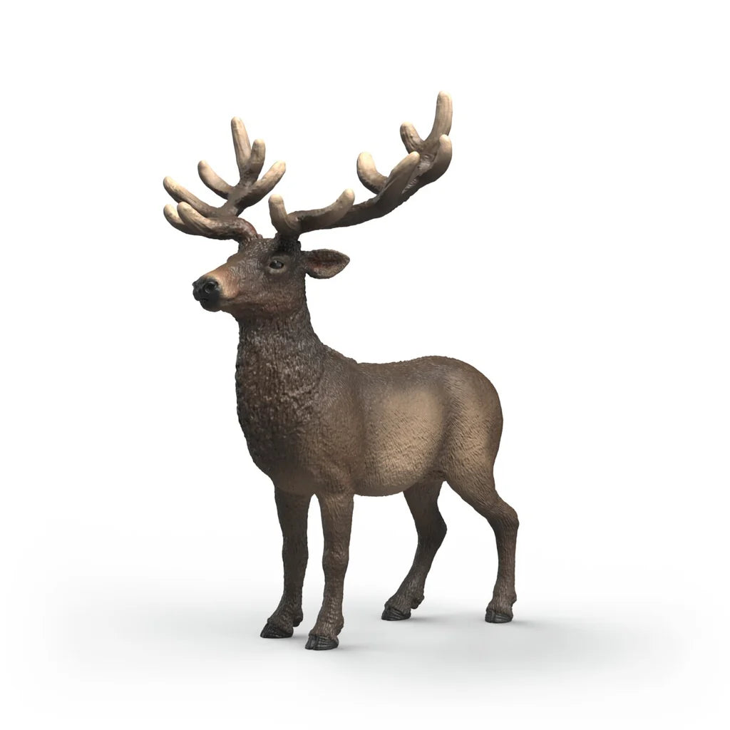 Schleich Wild Life Elk 14992