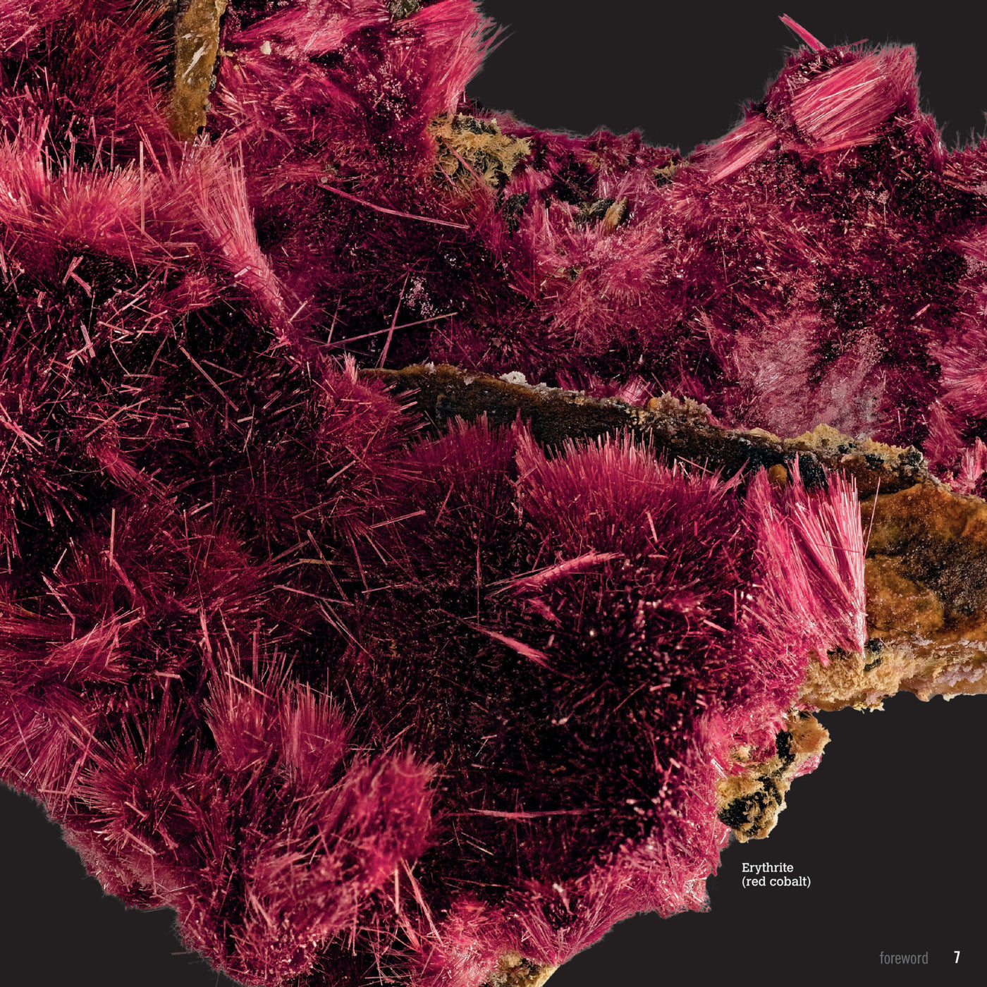 Scholastic Rocks, Minerals & Gems