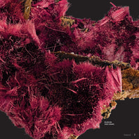 Scholastic Rocks, Minerals & Gems