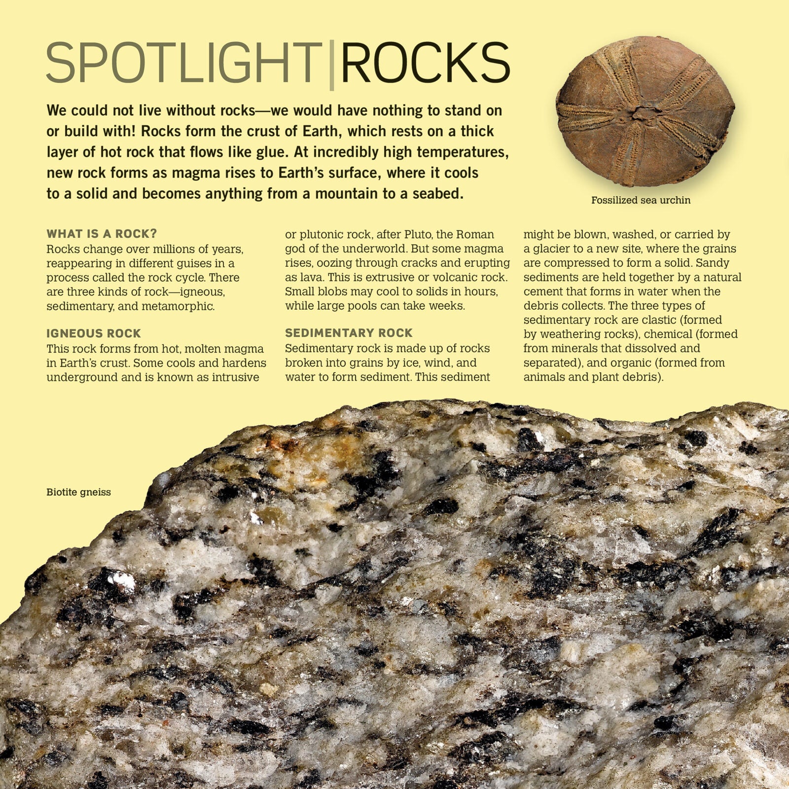Scholastic Rocks, Minerals & Gems