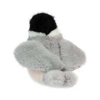 Douglas Chipper Chickadee Bird