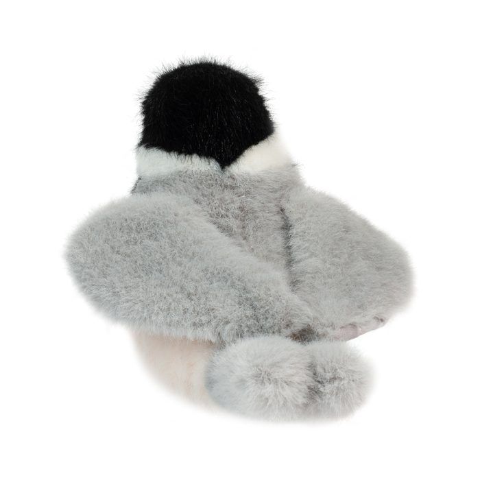 Douglas Chipper Chickadee Bird