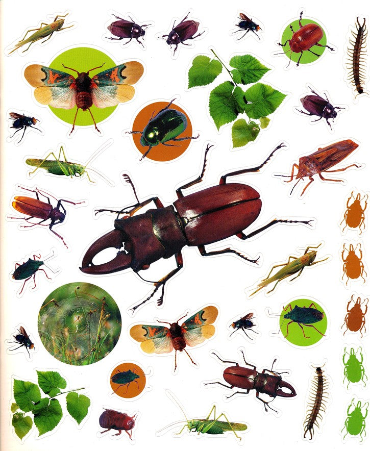 eyelike Bugs- 400 Reusable Stickers