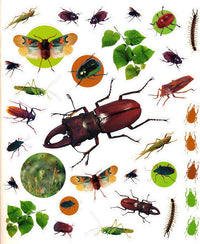 eyelike Bugs- 400 Reusable Stickers
