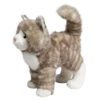 Douglas Zipper Grey Cat