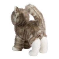 Douglas Zipper Grey Cat