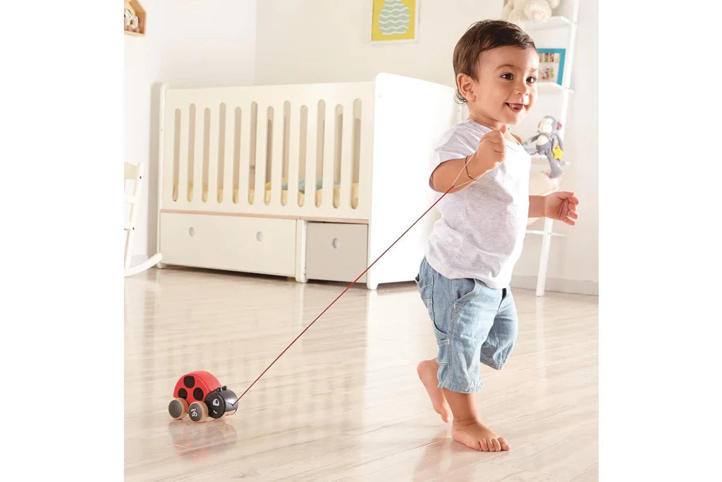Hape - Ladybug Pull Along