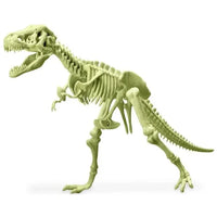 4M Kidszlabs Glowing T REX