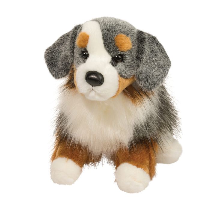 Douglas Sinclair Australian Shepherd