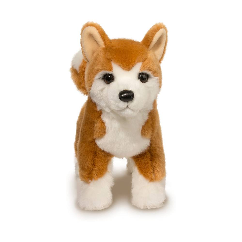 Douglas Dunham Shiba Inu