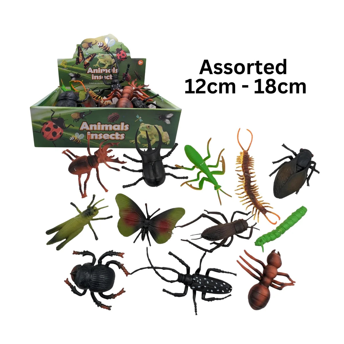 Insects Assorted