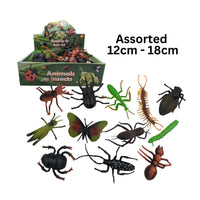 Insects Assorted