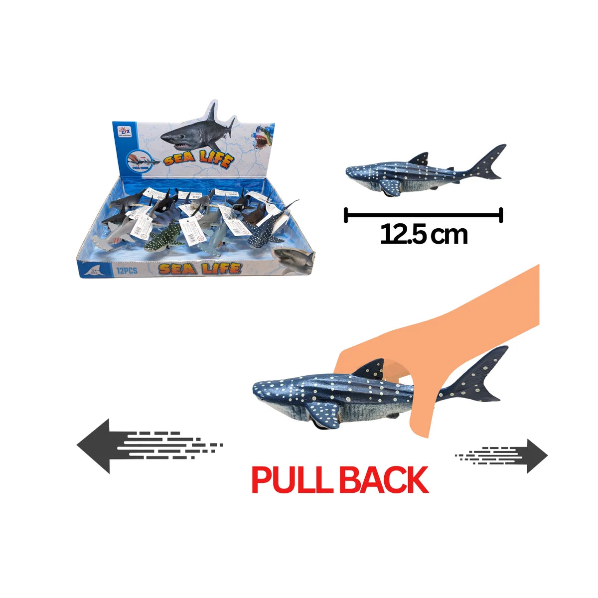 Pull Back Whale & Shark