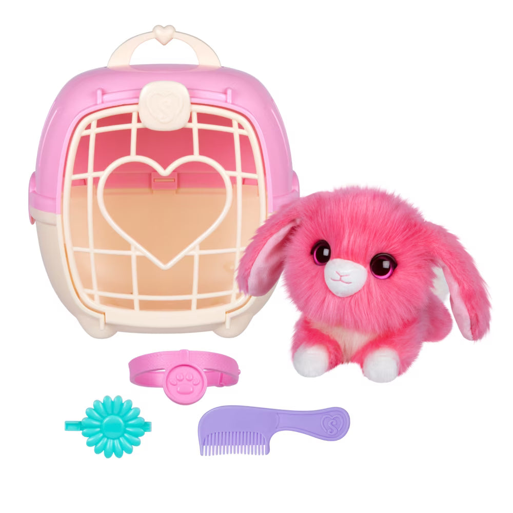 Scruffaluvs S3 Pet Single Pack Coral Pets