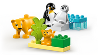 Lego Duplo Wild Animal Families: Penguins & Lions 10442