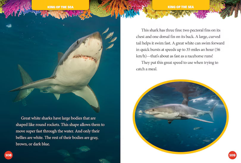 National Geographic 5 Minute Shark Stories