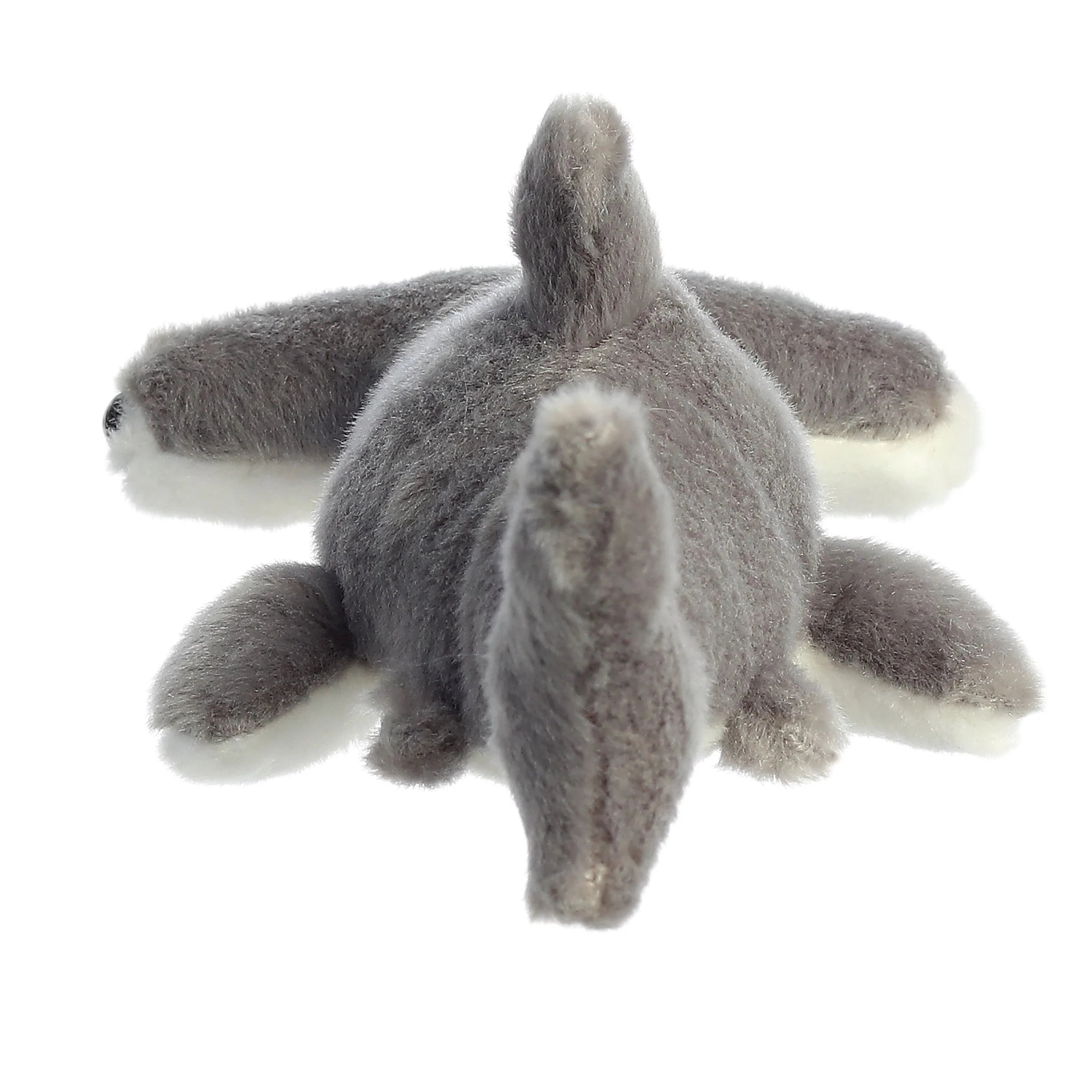 Aurora Hamlet Shark 8"