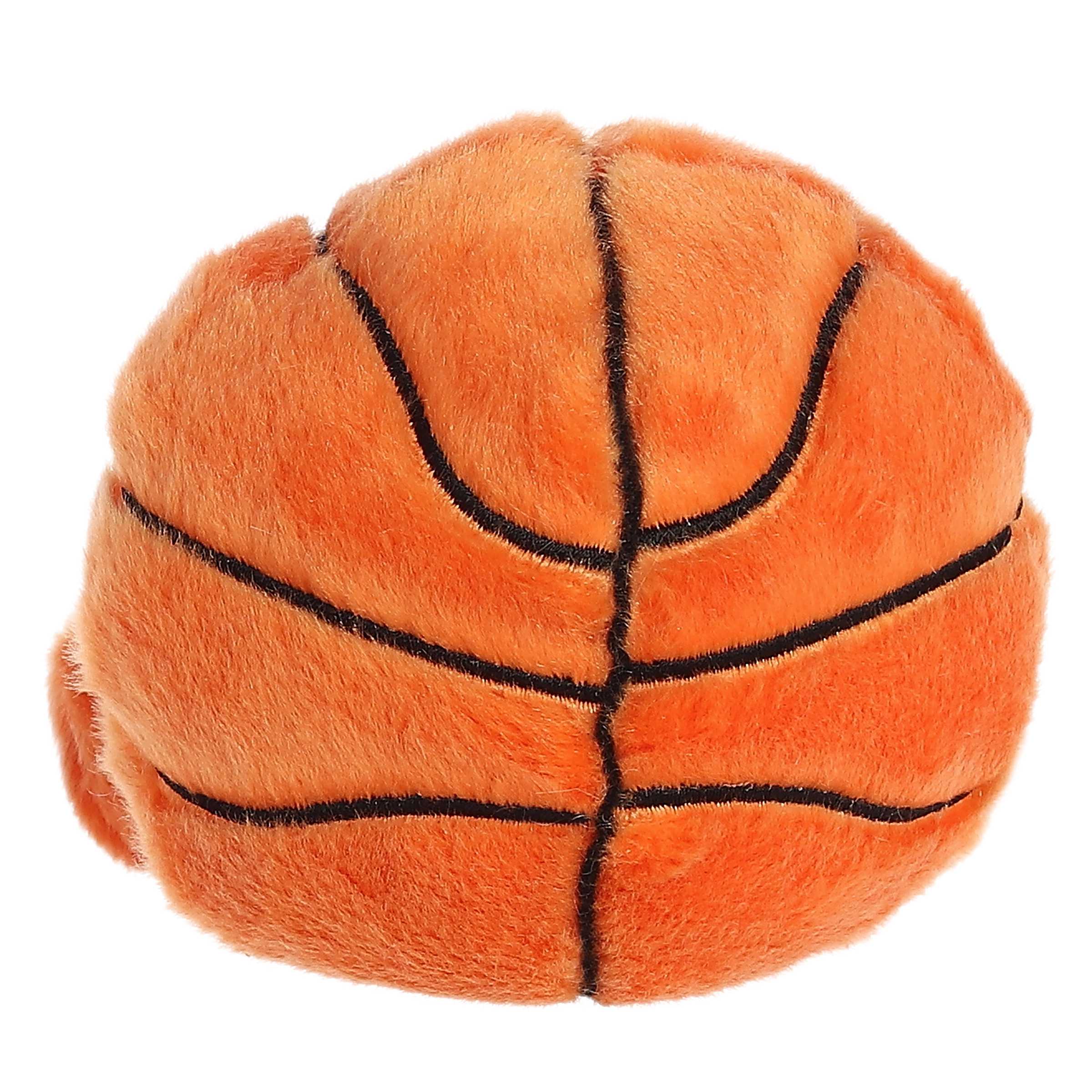 Palm Pals Hoops Basketball