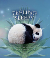 Feeling Sleepy Drift Off to Sleep with Your Animal Friends