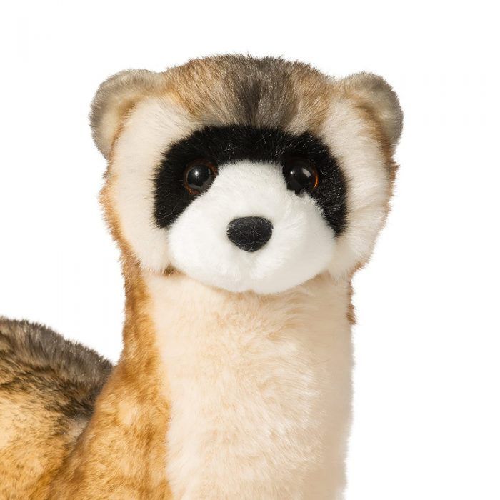 Douglas Vince Black-Footed Ferret