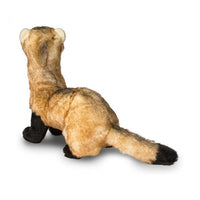 Douglas Vince Black-Footed Ferret