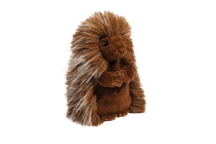 Douglas Prickle Porcupine