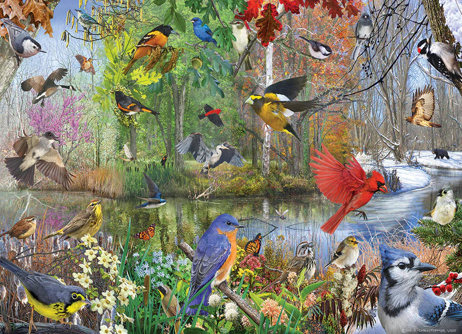 Cobble Hill Birds of the Season | 1000 Piece