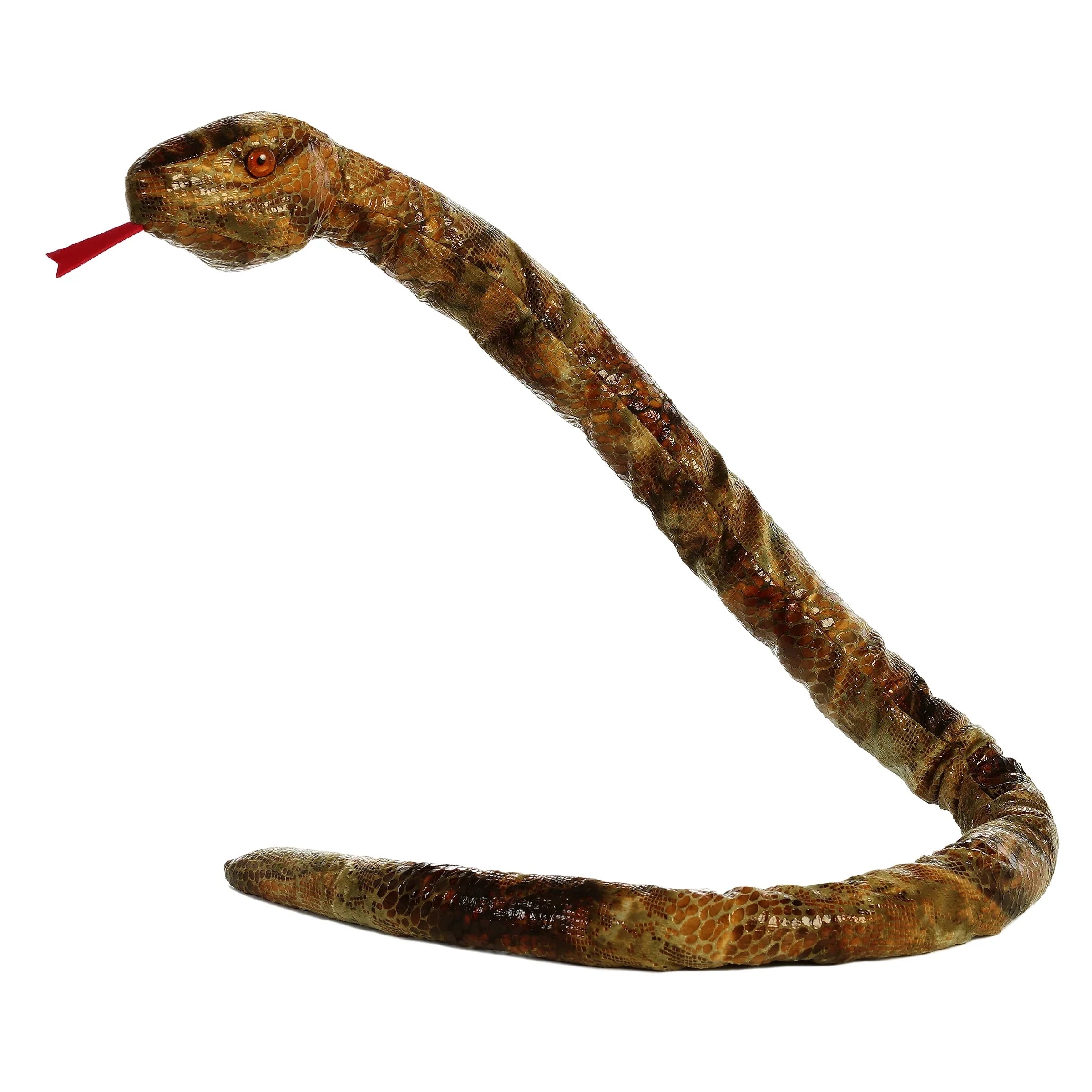 Aurora Snakes Gopher Snake