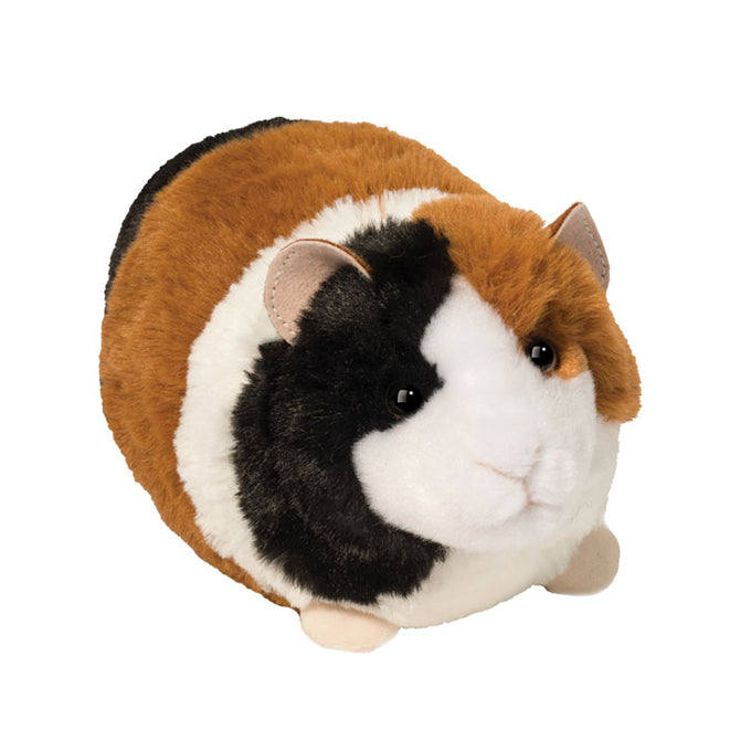 Douglas Pippin Guinea Pig