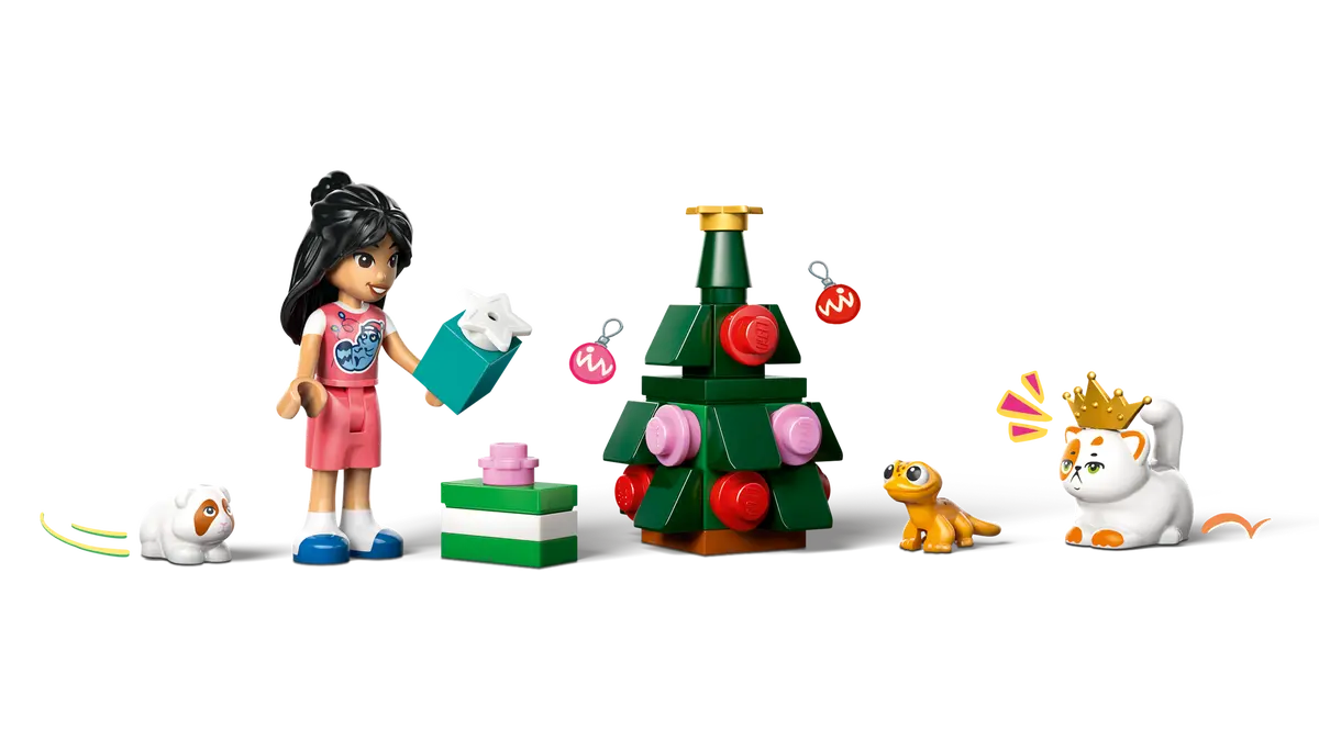 Lego Friends Friends Advent Calendar 2025